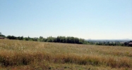 Diamond Ridge Lot 4 Eugene, OR 97408 - Image 9729984