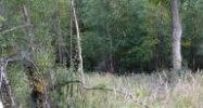 23199 E Knik River Road Palmer, AK 99645 - Image 9731123