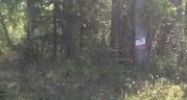 9155 N Lazer Street Palmer, AK 99645 - Image 9731125