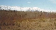8815 E Kilkenny Drive Palmer, AK 99645 - Image 9732004