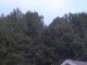 2467 Mackletree Rd Blue Creek, OH 45616 - Image 9784184