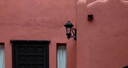 137 NE 47 ST Miami, FL 33137 - Image 9797311