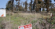 7261 Mickey Ln Turner, OR 97392 - Image 9809779