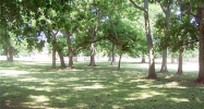 0 Watts Plantation DR Missouri City, TX 77459 - Image 9891384