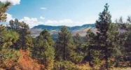 TBD CR 240 Durango, CO 81301 - Image 9892414