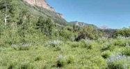 TBD US HWY 550 N Durango, CO 81301 - Image 9892420