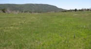Lot 6 Rbcr 71 Meeker, CO 81641 - Image 9895208