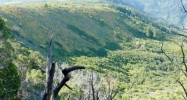 5 Lots Beaver Creek Rd/Cr 317 Rifle, CO 81650 - Image 9940854