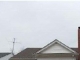 1302 Cousin Street Cape Girardeau, MO 63703 - Image 9944889