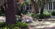 5111 5TH AVENUE S. Saint Petersburg, FL 33707 - Image 9951603