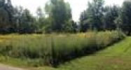 12330 Logan Lane Kevil, KY 42053 - Image 9970405