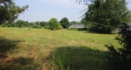 2147 HWY 147 S Proctor, AR 72376 - Image 9981015