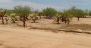 8594 Marstellar Road Tucson, AZ 85736 - Image 9984368