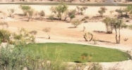 1.59AC N Yucca Drive Wickenburg, AZ 85390 - Image 9994526