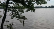 0 SHELTON SHORES 50 &amp; 51 Lincoln, AL 35096 - Image 9997636