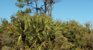 0 West 1st Avenue Gulf Shores, AL 36542 - Image 9998455