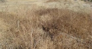 2710 Deer Creek Drive Parker, CO 80138 - Image 10000295