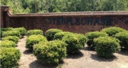 6337 WALNUT COVE 0 Pinson, AL 35126 - Image 10003712