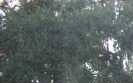 4220 Tipperary Ln - Image 10014224