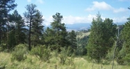 6 Pine Valley Road Pine, CO 80470 - Image 10056412