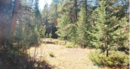 4 Pine Valley Road Pine, CO 80470 - Image 10056413