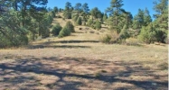 3 Pine Valley Road Pine, CO 80470 - Image 10056415