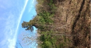 0 SALT CREEK ROAD Munford, AL 36268 - Image 10056796