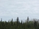 63850 Sterling Highway Clam Gulch, AK 99568 - Image 10063413