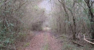 97 Highway 19 N Dahlonega, GA 30533 - Image 10073982