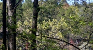 147 Carl Finch Rd Hot Springs National Park, AR 71913 - Image 10075536