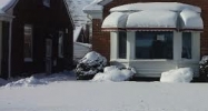 8137 Grayfield St Dearborn Heights, MI 48127 - Image 10077453