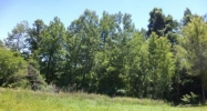 Lot 23 Wildcat Trace Paducah, KY 42003 - Image 10108870
