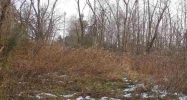 7225 Benton Road Paducah, KY 42003 - Image 10108872