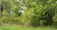 000 Al Henn Rd. Lot 19 Windsor Way Cadiz, KY 42211 - Image 10113103