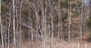 Lot 191 Frontier Lane Cadiz, KY 42211 - Image 10113105
