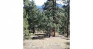 7 Pine Valley Road Pine, CO 80470 - Image 10124353