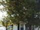 216 POST AVE Lyndhurst, NJ 07071 - Image 10124927