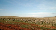 Tract 83 B Medicine Bow, WY 82329 - Image 10129480