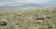 WT 2-15, WT 2-16 Medicine Bow, WY 82329 - Image 10129481