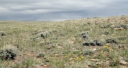 TR 78C, 81C, 82C, GLO 3 and GLO 4 Medicine Bow, WY 82329 - Image 10129482