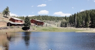 682 SAGUACHE Drive Divide, CO 80814 - Image 10129712