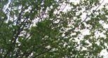 153 Aylesbury Rd - Image 10138585