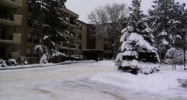 6650 Vernon Ave S #419 Minneapolis, MN 55436 - Image 10150110