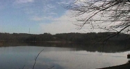 LOT 92 LISANBY Rd Eddyville, KY 42038 - Image 10153982