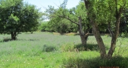 1370 Field Canon City, CO 81212 - Image 10159147