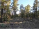 2073A Gilbert Lane Overgaard, AZ 85933 - Image 10165616