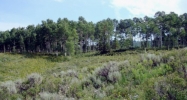 313 Lower Bear Mtn. Kremmling, CO 80459 - Image 10176143