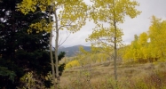 670 CR 286/Upper Bear Mtn. Kremmling, CO 80459 - Image 10176146