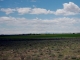 CR 61 Gill, CO 80624 - Image 10189733