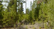 Lot 1 Paul Dr La Pine, OR 97739 - Image 10221887